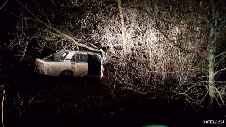 Молодой и пьяный: на Орловщине водитель «семерки» влетел в дерево