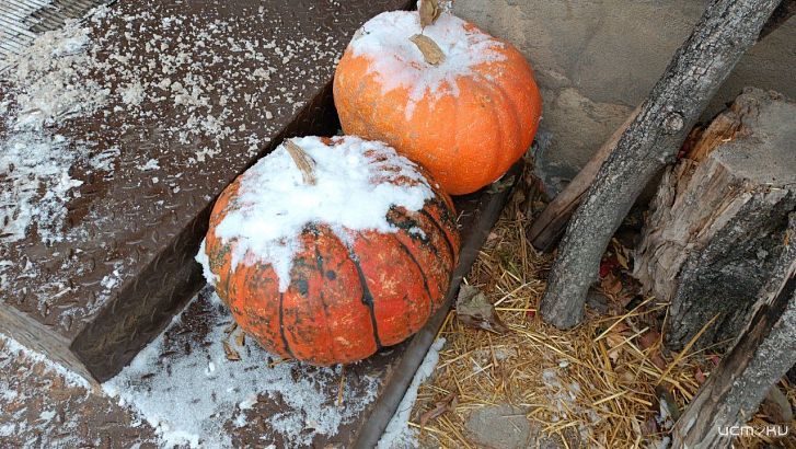 Орловские энергетики подготовились к наступающей непогоде