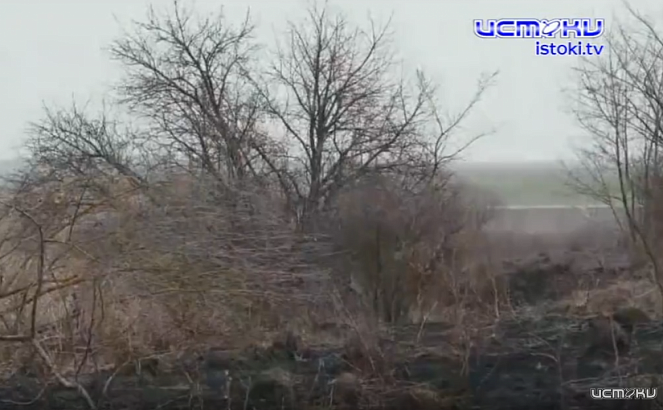 Чем опасен сухостой на землях сельхозназначения рассказали специалисты орловского и курского Россельхознадзора