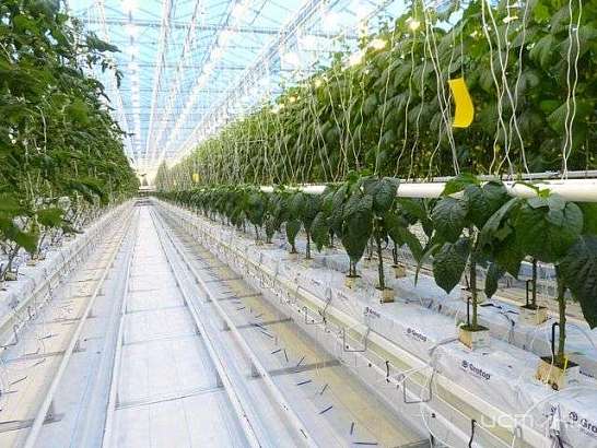 С рабочим визитом Вадим Потомский посетил Белгородскую область