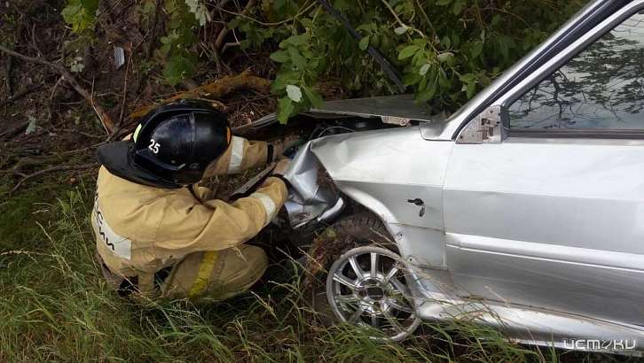 В Кромском районе легковушка улетела в кювет 