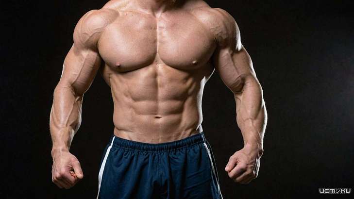 История и механизм действия туринабола в спорте и медицине