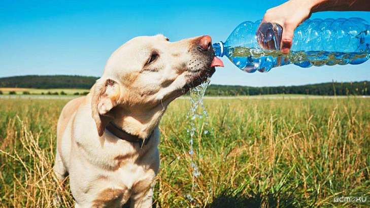 Сегодня в Орле по прежнему будет жарко