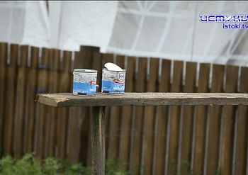 Кульминация Аграрной недели в регионе