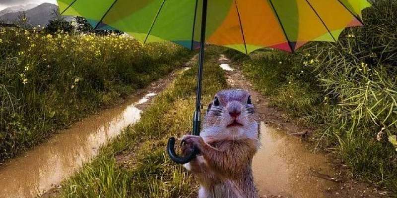 Переменная облачность и дождь ждут орловчан в субботу