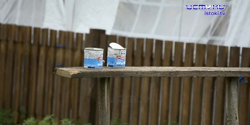 Кульминация Аграрной недели в регионе