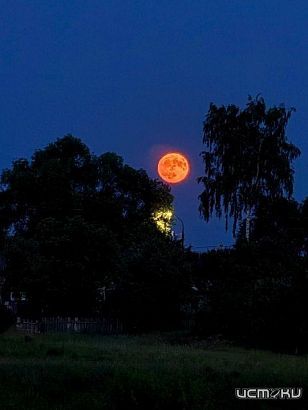 Жители Орловской области наблюдали «клубничную» луну Жители Орловской области наблюдали «клубничную» луну