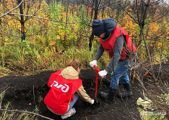 Более 100 деревьев и кустарников высадили орловские железнодорожники во время экологических акций в апреле