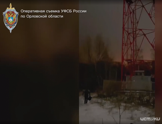 Сотрудниками УФСБ России по Орловской области пресечена противоправная деятельность жителя региона 1996 г.р.