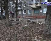 Мусорный город Орёл