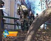 В Детском парке орловчане поборются за Кубок полярника Русанова