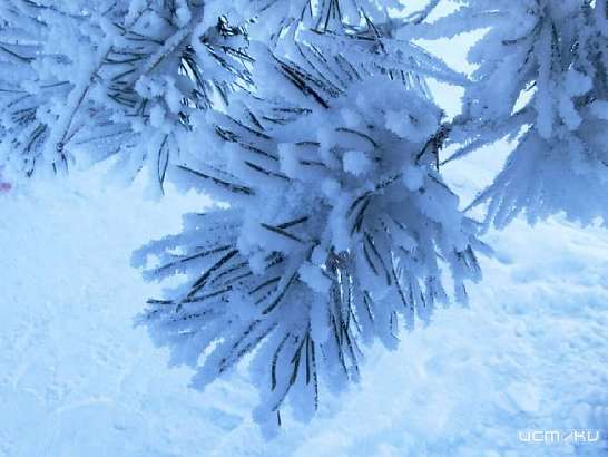 23 февраля будет морозным и снежным