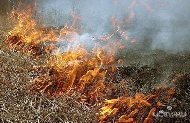 На Орловщине запретили сжигание соломы и сухой растительности, прилегающей к лесным массивам  На Орловщине запретили сжигание соломы и сухой растительности, прилегающей к лесным массивам