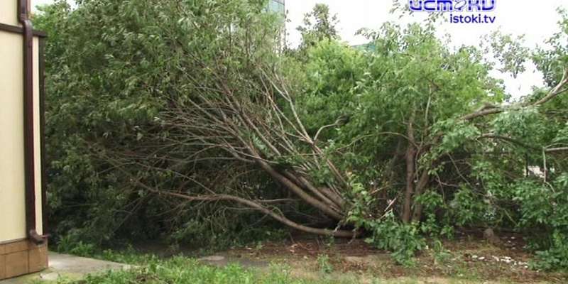 По Орлу снова прошелся сокрушительный ураган, а сегодня начался суд над Блохиным