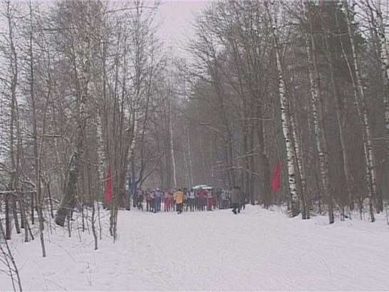 Первенство по лыжным гонкам