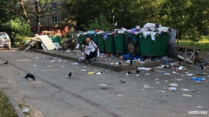 Мусорный беспредел в Орле: контракт с «Зеленой рощей» предложили разорвать