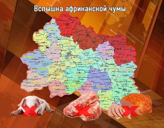 Новости Орла за 90 секунд