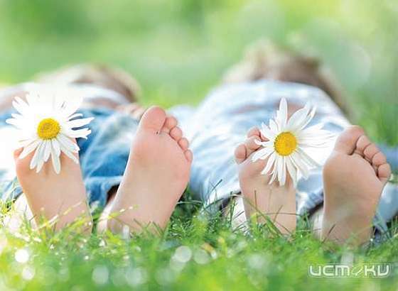 Этим летом юные орловчане отдохнут в 320 лагерях и санаториях региона