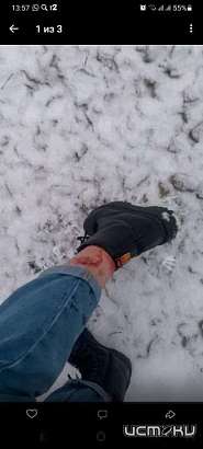 В Железнодорожном районе собаки покусали детей