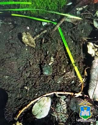 Орловчанин рискует отправиться в колонию на несколько лет за покупку наркотиков в крупном размере