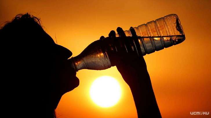 Идем на рекорд: сегодня в Орле вновь ожидается экстремальная жара