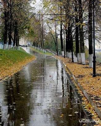 На Орловщине значительно похолодает