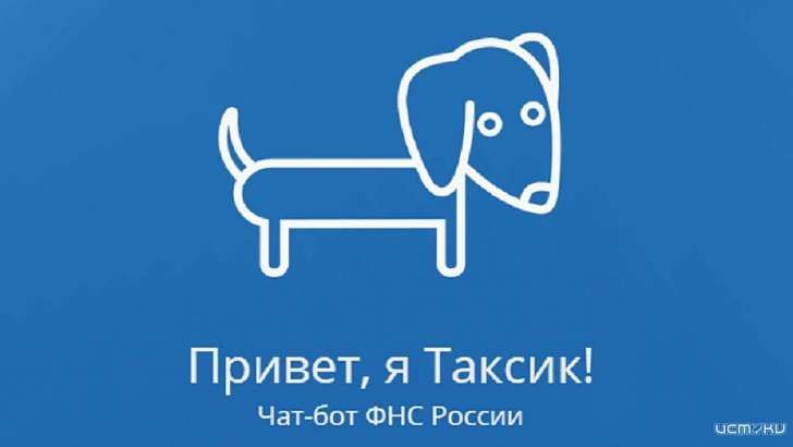 Орловчанам поможет разобраться с налогами чат-бот по имени Таксик