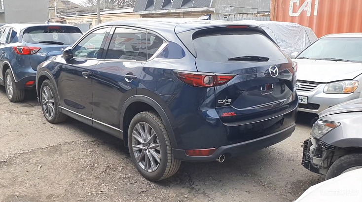 Чем объясняют низкую стоимость автомобилей в США в сравнении с Украиной