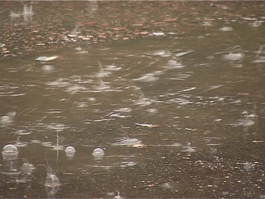 Противоречивый прогноз! Какая же будет погода в выходные дни?