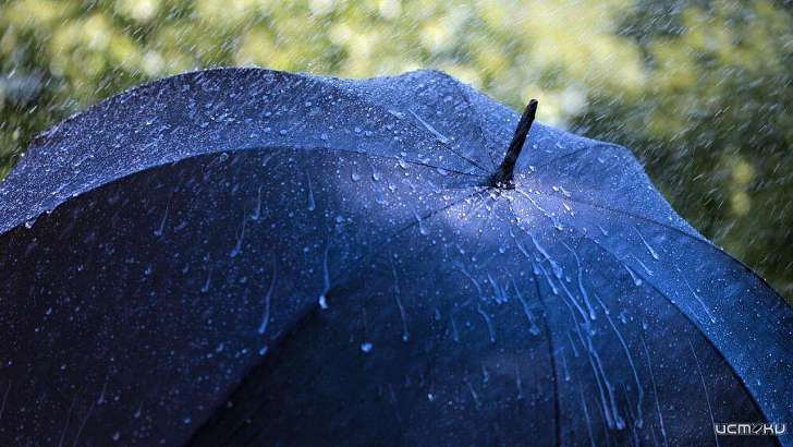 Пониженное атмосферное давление и дождь: погода в Орле на 29 ноября