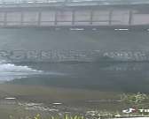 Видео: ради славы орловчанин спрыгнул с Красного моста