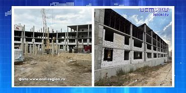 Экспресс - новости: бобры приложили лапы к неудобству жителей села Ильинское