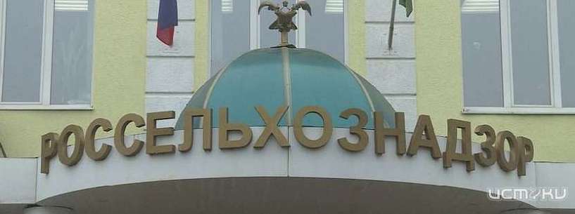 Орловчанке пришлось отсегнуть 10 тыс. рублей за сорняки