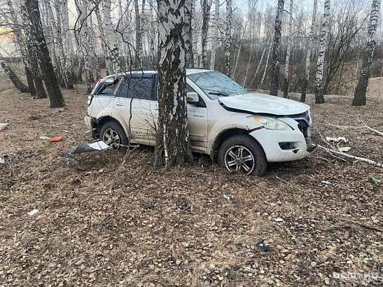На Орловщине насмерть разбился водитель внедорожника, съехав с дороги в кювет