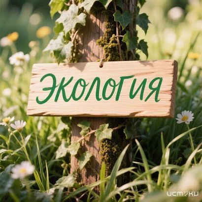 Орловская команда вышла в финал всероссийского конкурса с цифровым проектом «Орловское полесье»