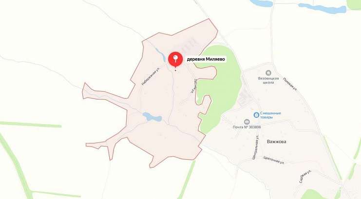 В Ливнах по факту обнаружения тела женщины в водоёме проводится проверка