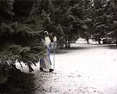 Новости за 90 секунд: по "открытому письму" орловских инвалидов прокуратура провела проверку, орловчане написали географический диктант на тройку, а м...