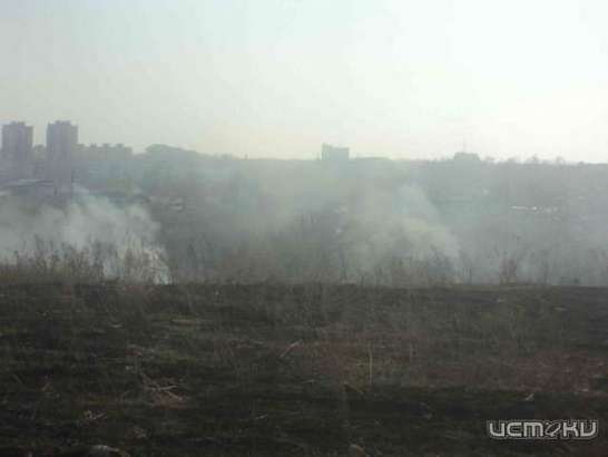 Весна в самом разгаре: на Орловщине начали бушевать травяные палы