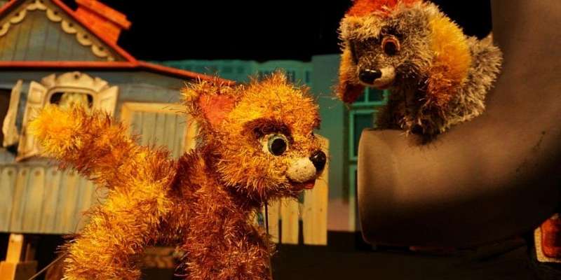 Юных орловчан познакомят с котёнком по имени Гав