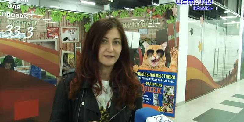"Кошачий зоопарк" возмутил орловских зоозащитников