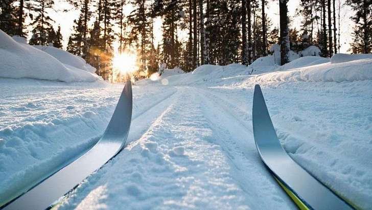 Для орловчан в городе оборудовали 3 лыжные трассы
