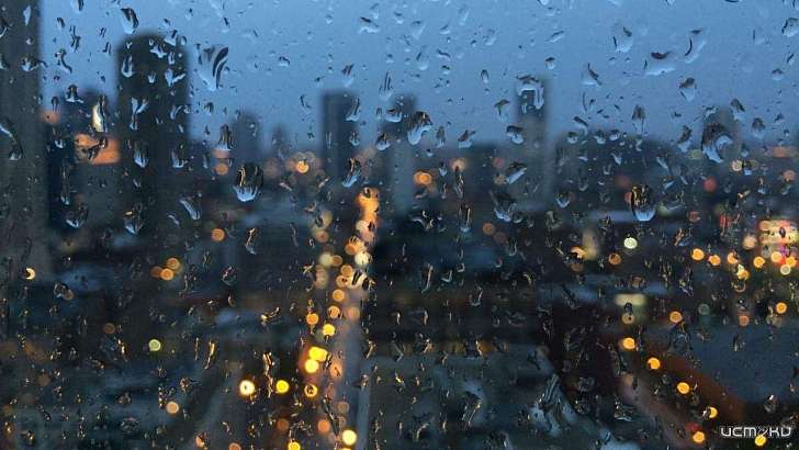 Последний октябрьский день в Орле будет холодным и сырым