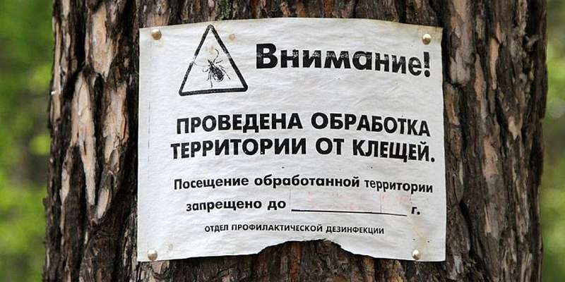 Орловчан просят повременить с прогулками в парках и скверах