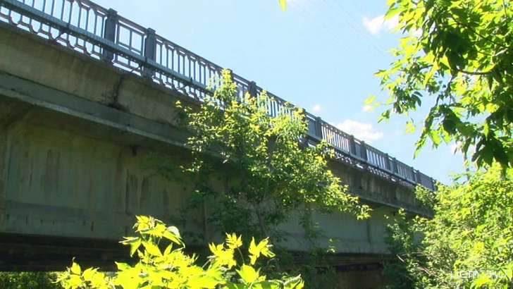 В Орле расторгли договор авторского надзора за ремонтом моста Дружбы