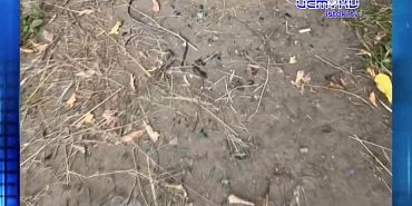 Тернистый путь к знаниям. Экспресс - новости.