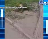 Реконструкция Красного моста продолжает подкидывать городу неоднозначные ситуации. На сей раз под раздачу попал памятник Ивану Грозному, а точнее поля...