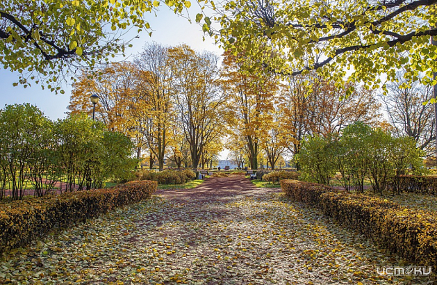 В Мценске благоустроят Фетовский сквер на 67 млн рублей