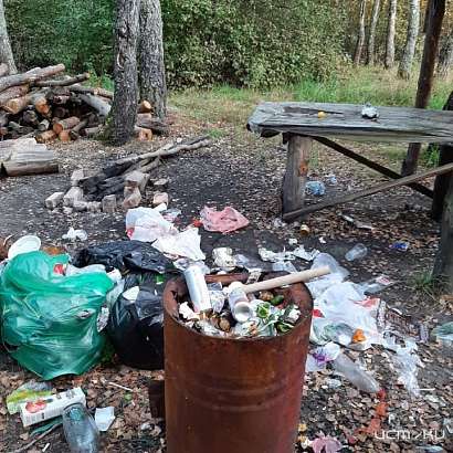 Природный парк в поселке Сеножатное превратили в свалку отходов