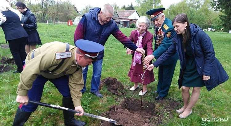 В Орловской области продолжается высадка деревьев
