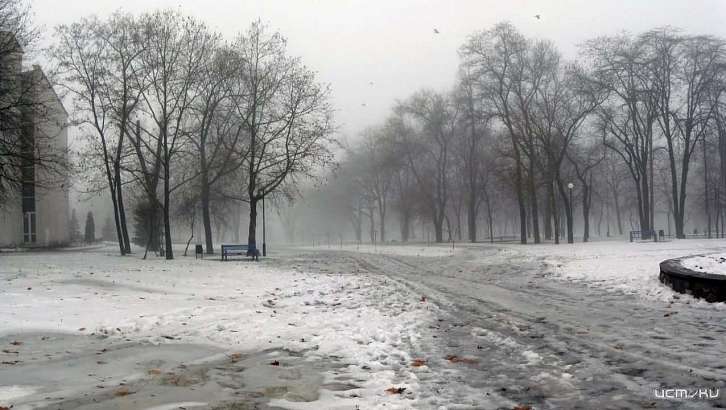 Воскресенье в Орле будет слякотным и дождливым